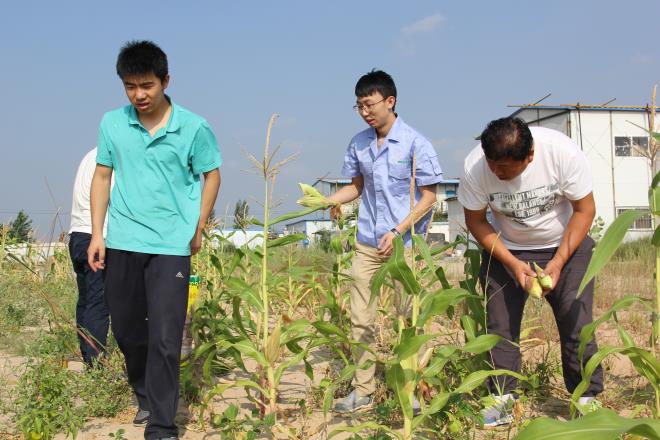 多彩生活——摘蔬菜、掰玉米